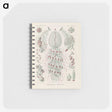 3-28_Ernst-Haeckel_memo