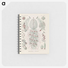 3-28_Ernst-Haeckel_memo
