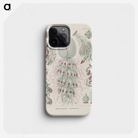 3-28_Ernst-Haeckel_phone