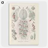 3-28_Ernst-Haeckel_picture-crop