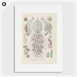 3-28_Ernst-Haeckel_picture