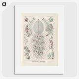 3-28_Ernst-Haeckel_picture