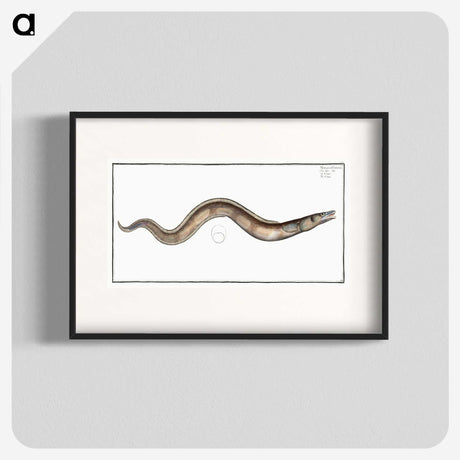3-28_Ichtyologie-ou-Histoire-naturelle_blk