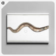 3-28_Ichtyologie-ou-Histoire-naturelle_canvas