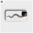 3-28_Ichtyologie-ou-Histoire-naturelle_phone