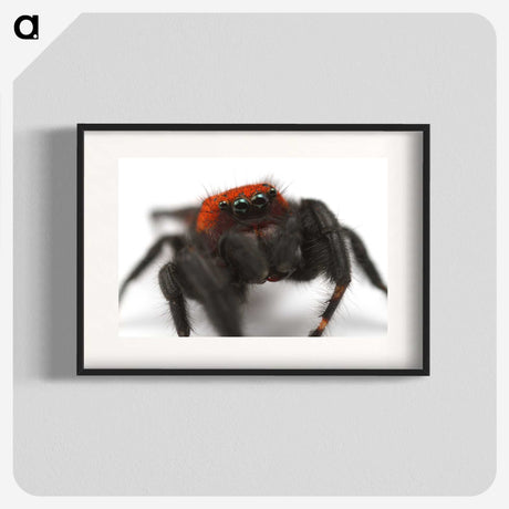 3-28_Insects-Unlocked-Project_blk
