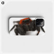 3-28_Insects-Unlocked-Project_phone