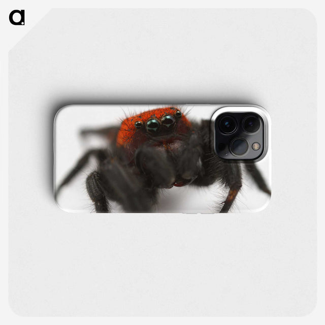 3-28_Insects-Unlocked-Project_phone