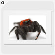 3-28_Insects-Unlocked-Project_picture