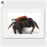 3-28_Insects-Unlocked-Project_picture