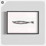 Fish - ジャン ベルナール Poster.