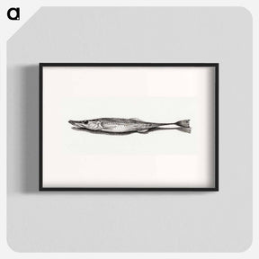 アートポスター-Fish - ジャン ベルナール Poster.
