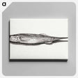 アートパネル-Fish - ジャン ベルナール Canvas.