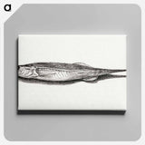 アートパネル-Fish - ジャン ベルナール Canvas.