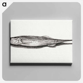 アートパネル-Fish - ジャン ベルナール Canvas.