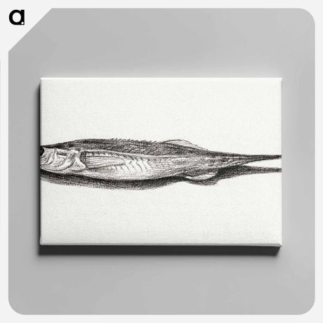 アートパネル-Fish - ジャン ベルナール Canvas.