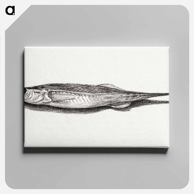 アートパネル-Fish - ジャン ベルナール Canvas.