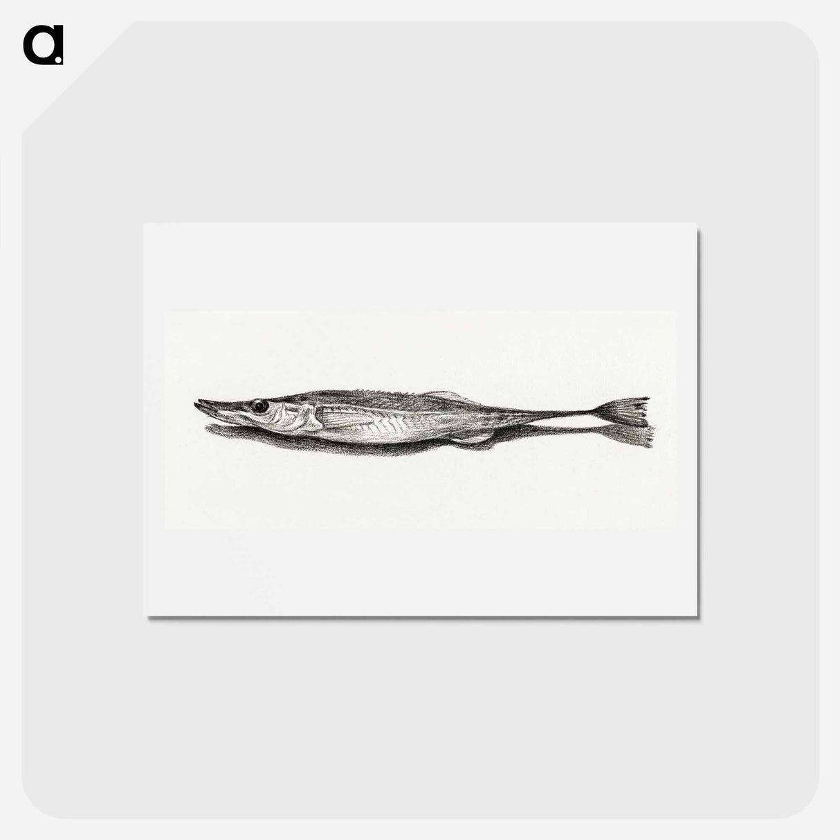 アートポストカード-Fish - ジャン ベルナール Postcard.
