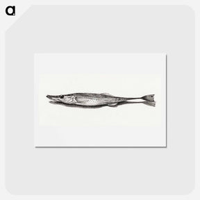 アートポストカード-Fish - ジャン ベルナール Postcard.