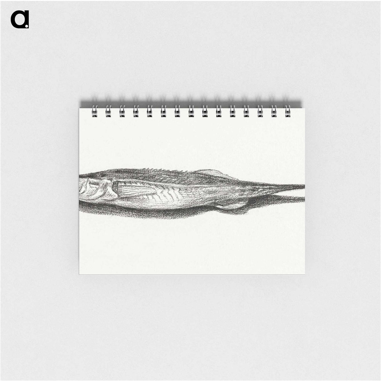 3-28_Jean-Bernard_memo