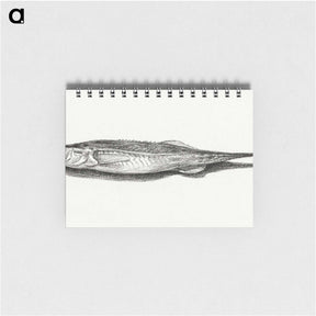 3-28_Jean-Bernard_memo