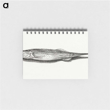 3-28_Jean-Bernard_memo