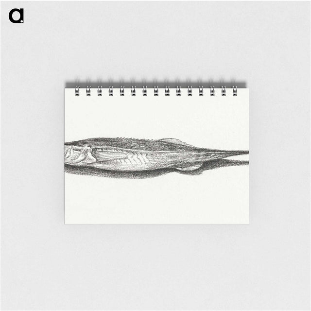 3-28_Jean-Bernard_memo