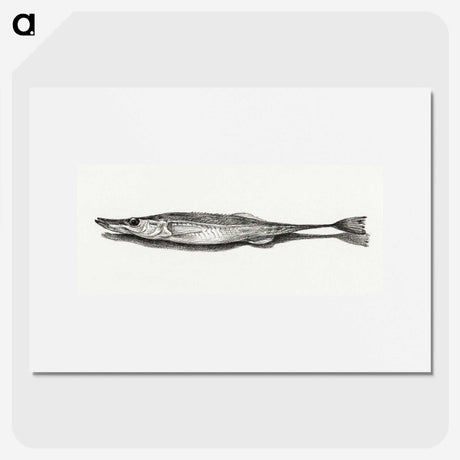 3-28_Jean-Bernard_picture