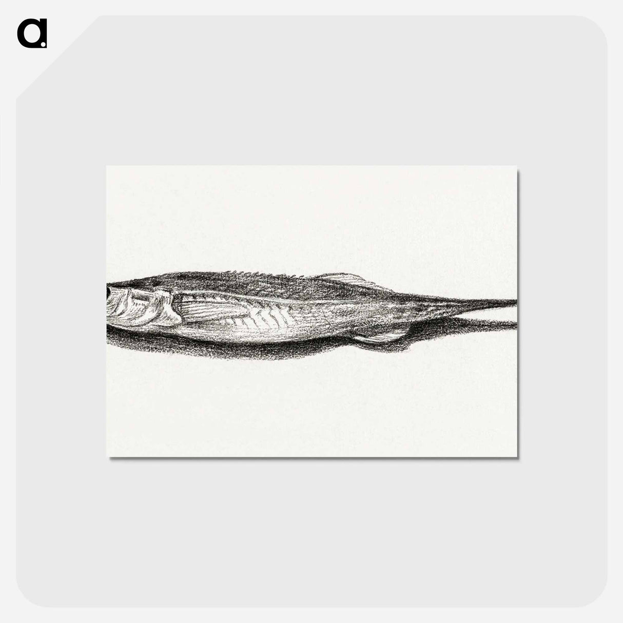 アートポストカード-Fish - ジャン ベルナール Postcard.