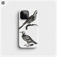 3-28_Johan-Teyler_phone