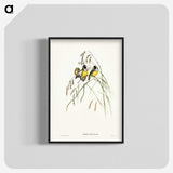 3-28_John-Gould_blk-crop