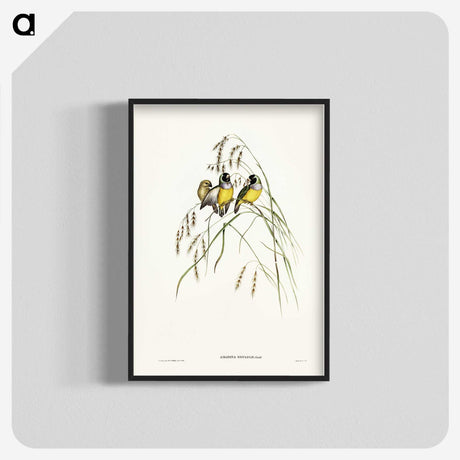 3-28_John-Gould_blk-crop