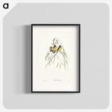 3-28_John-Gould_blk