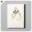3-28_John-Gould_canvas