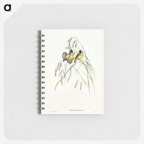 3-28_John-Gould_memo