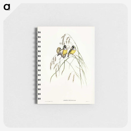 3-28_John-Gould_memo