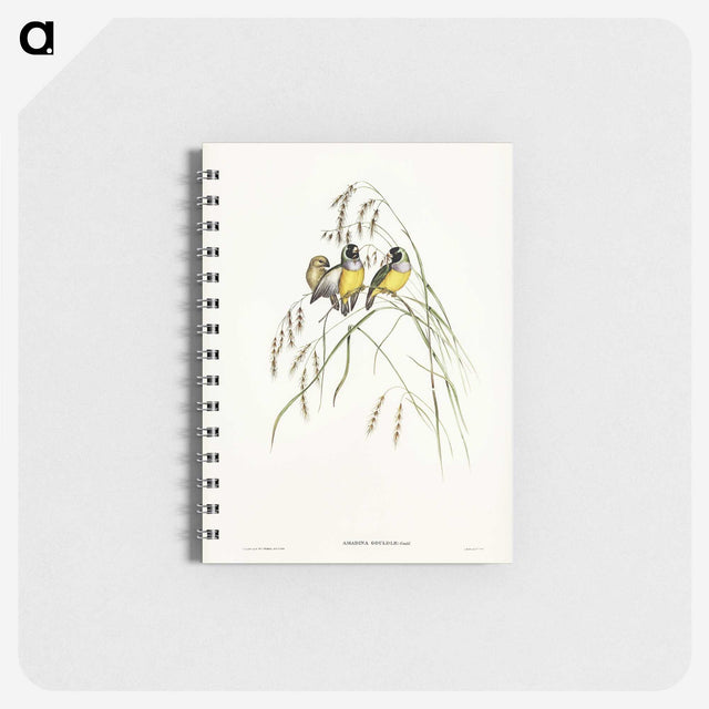 3-28_John-Gould_memo