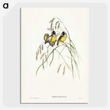 3-28_John-Gould_picture-crop