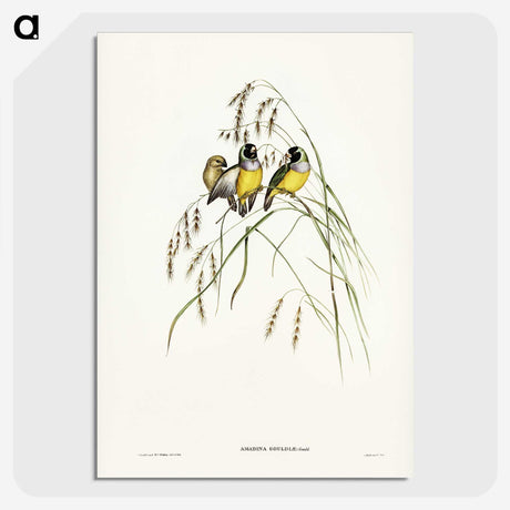 3-28_John-Gould_picture-crop
