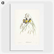 3-28_John-Gould_picture