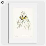 3-28_John-Gould_picture
