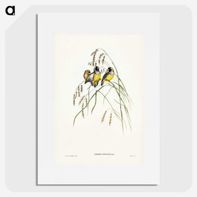 3-28_John-Gould_picture