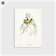 3-28_John-Gould_postcard