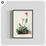 3-28_John-James-Audubon_blk-crop