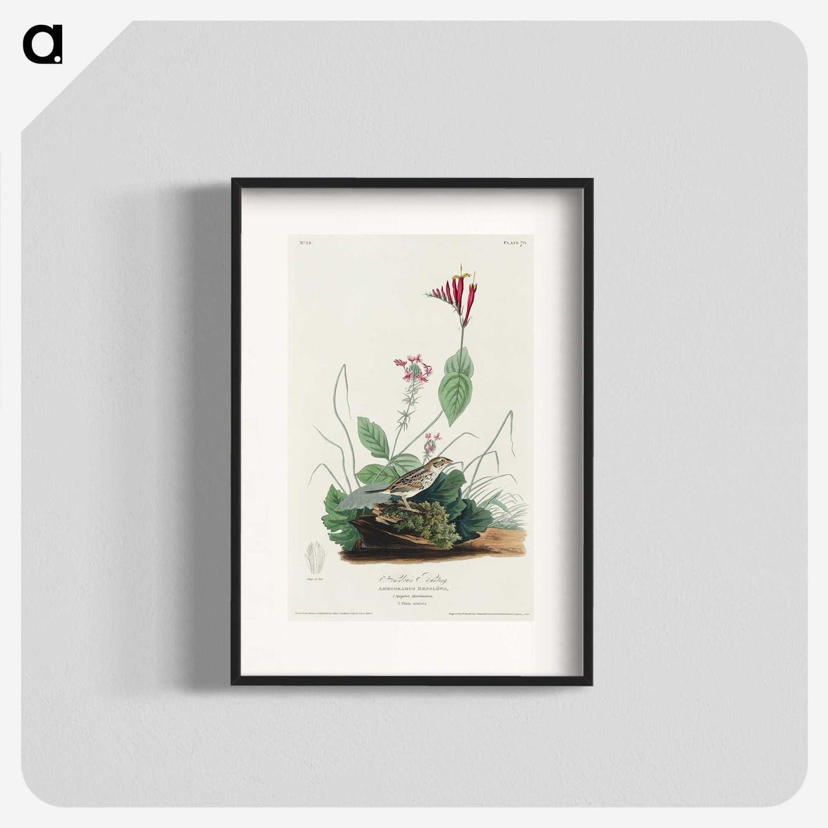 3-28_John-James-Audubon_blk