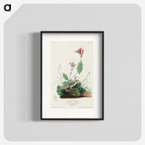 3-28_John-James-Audubon_blk