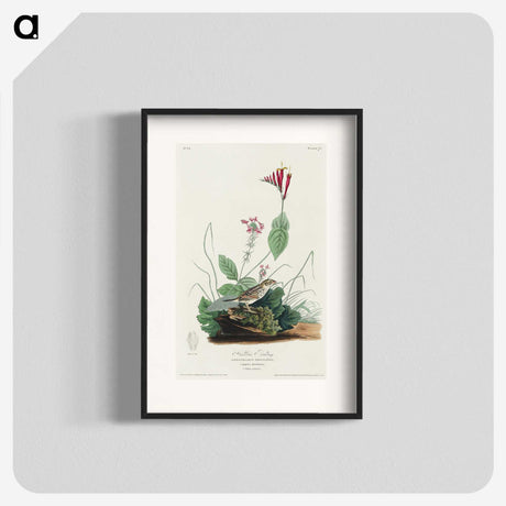3-28_John-James-Audubon_blk