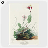 3-28_John-James-Audubon_picture-crop