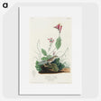 3-28_John-James-Audubon_picture