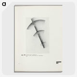 3-28_Kazimir-Malevich_picture-crop